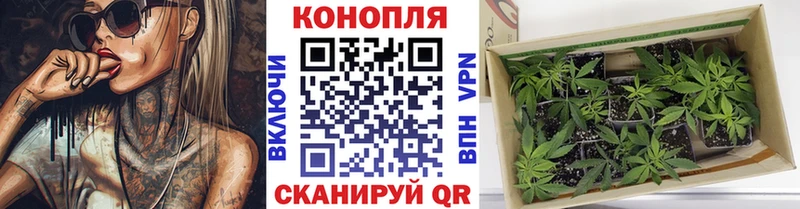 Бошки марихуана Ganja  закладка  Нальчик 
